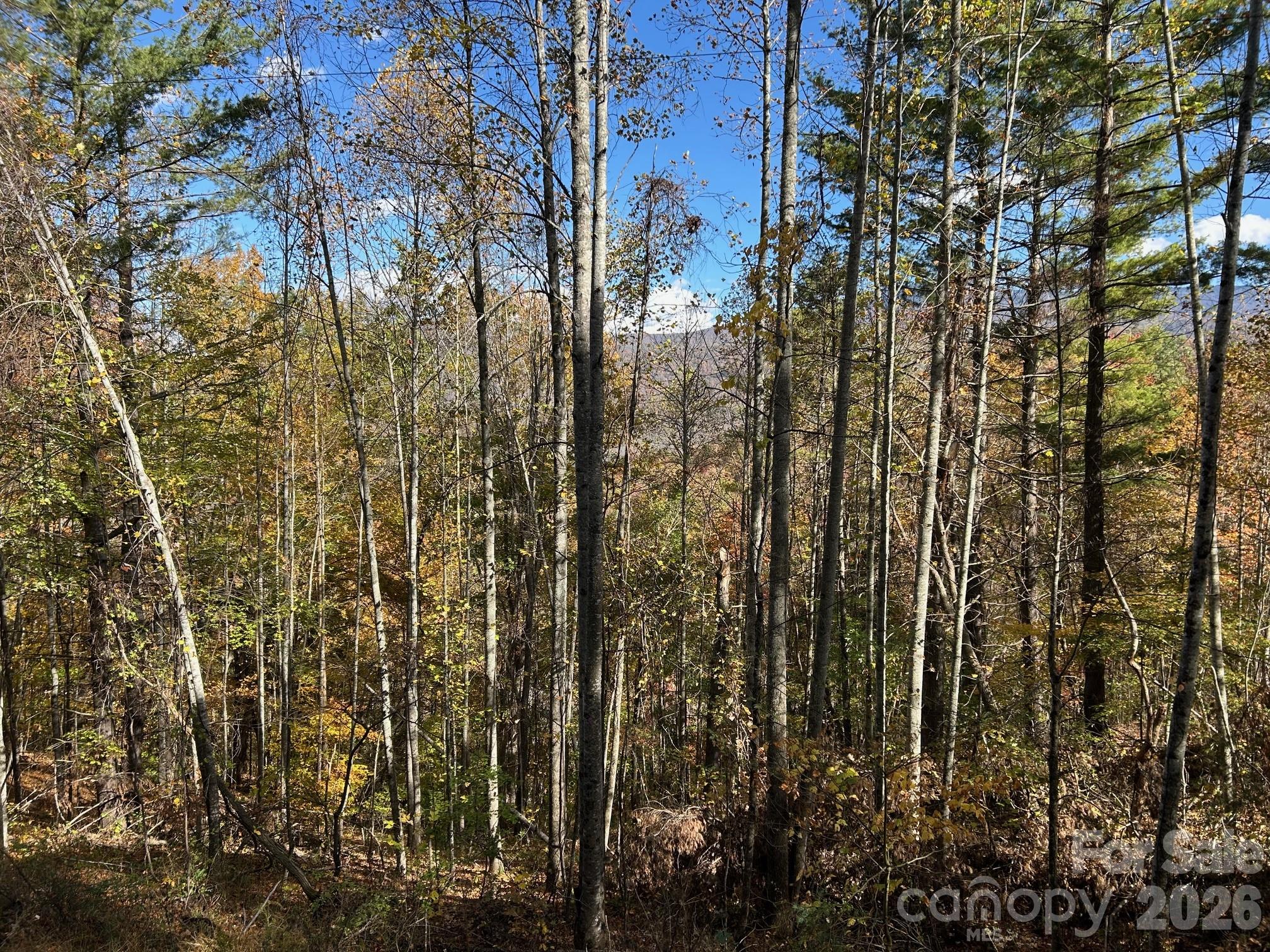 Lots 61 And 62 Wildwood Drive Burnsville NC 28714
