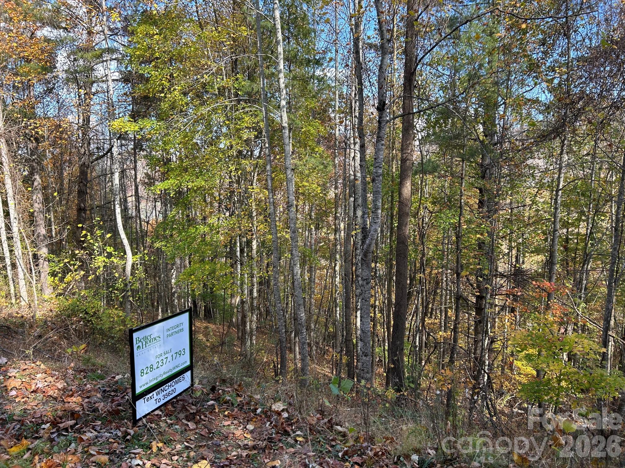Lots 61 And 62 Wildwood Drive Burnsville NC 28714