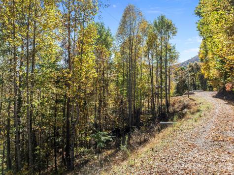 Lots 61 And 62 Wildwood Drive Burnsville NC 28714