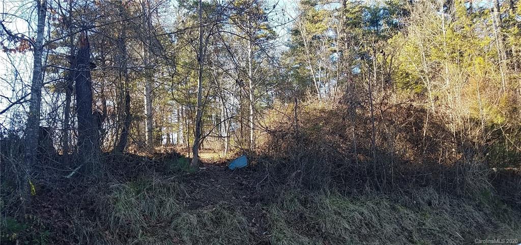 10 White Cedar Drive Weaverville NC 28787