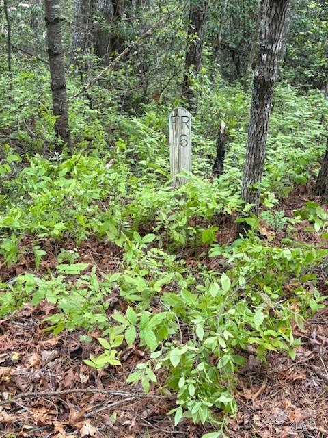 Fr 16 Opossum Path Brevard NC 28712