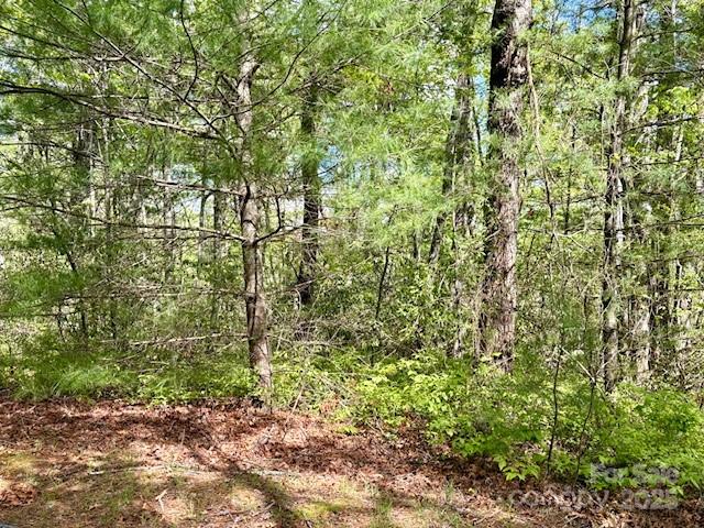 Fr 16 Opossum Path Brevard NC 28712