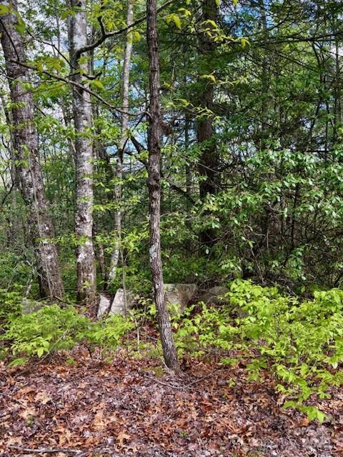 Fr 16 Opossum Path Brevard NC 28712
