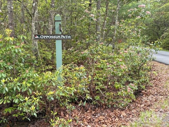 Fr 16 Opossum Path Brevard NC 28712