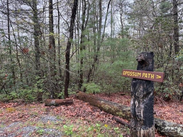 Fr 16 Opossum Path Brevard NC 28712