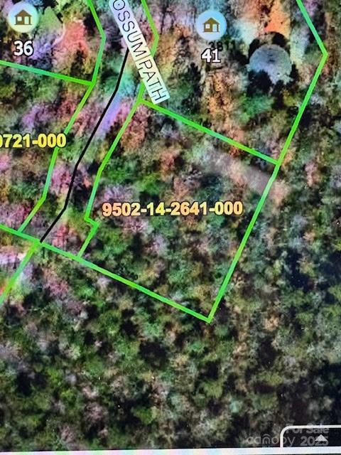 Fr 16 Opossum Path Brevard NC 28712