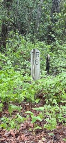 Fr 16 Opossum Path Brevard NC 28712