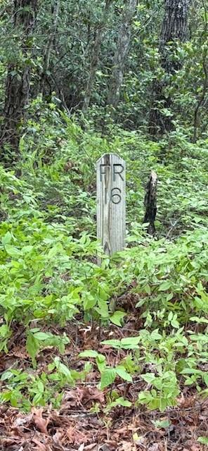 Fr 16 Opossum Path Brevard NC 28712