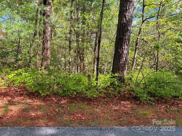 Fr 16 Opossum Path Brevard NC 28712