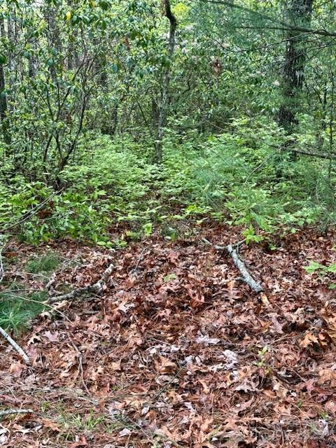 Fr 16 Opossum Path Brevard NC 28712