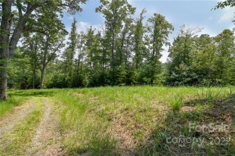 301 The Vines Boulevard Marshall NC 28753