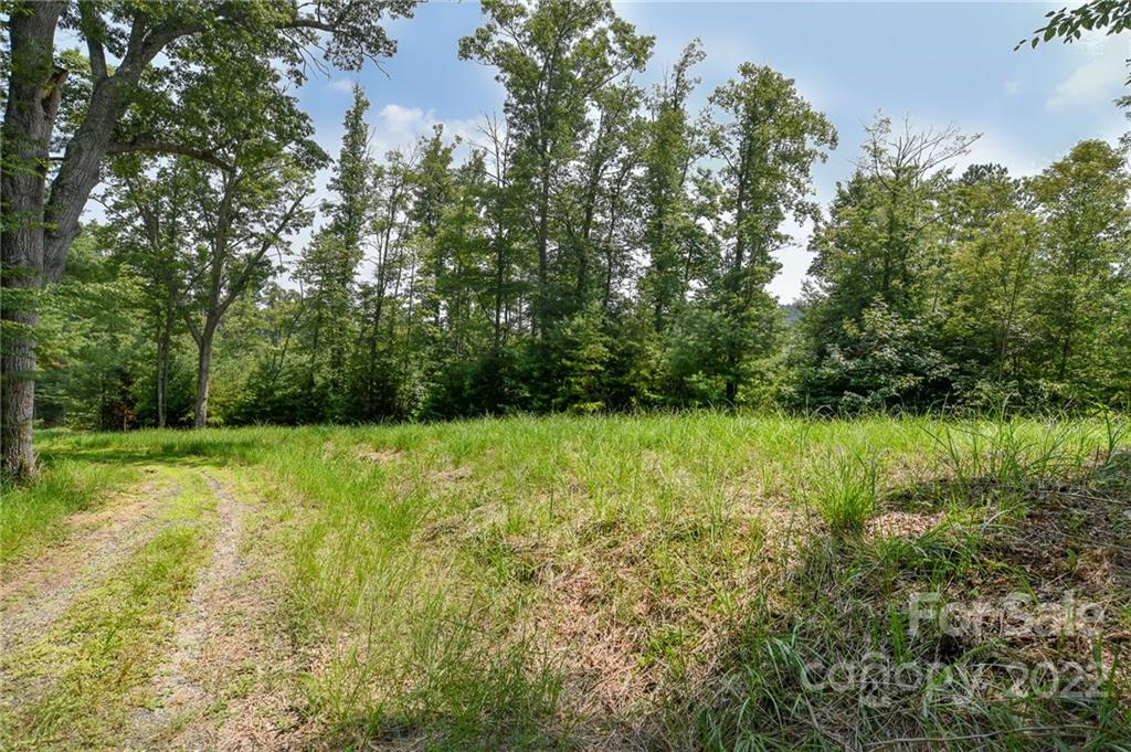 301 The Vines Boulevard Marshall NC 28753