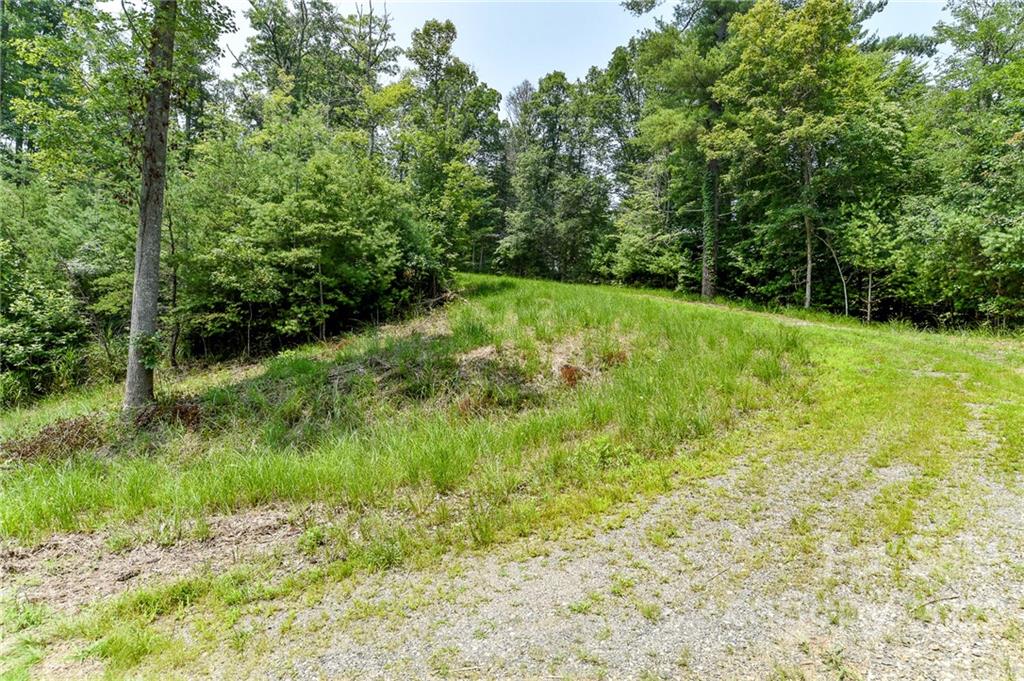 301 The Vines Boulevard Marshall NC 28753