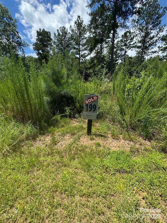 2169 Windom Peak Summit Connelly Springs NC 28612