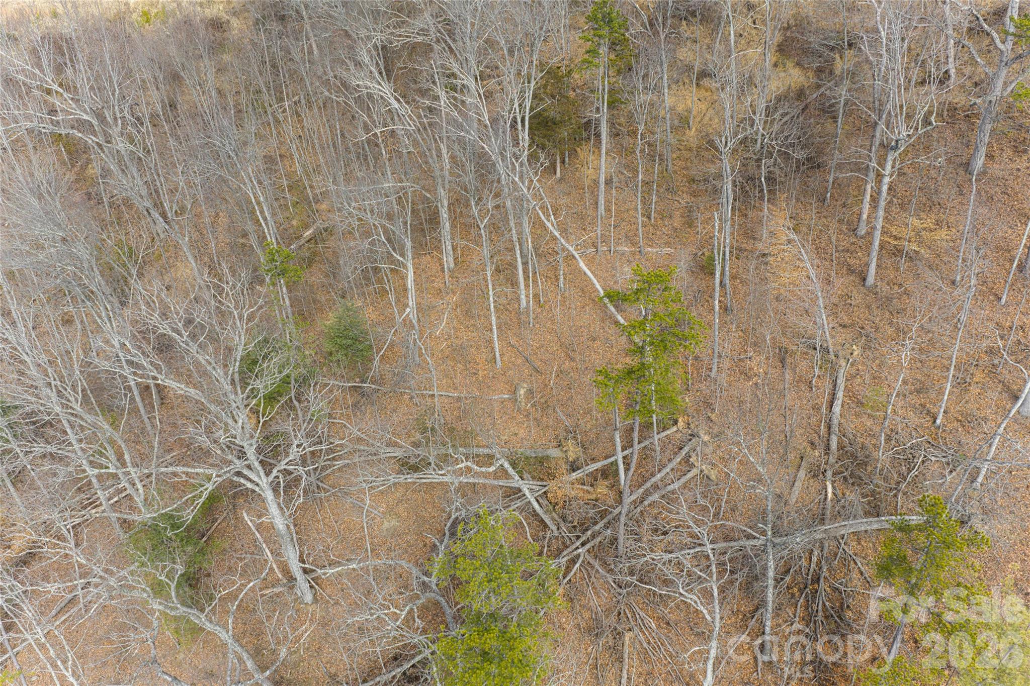 5 Longstreet Court Weaverville NC 28787
