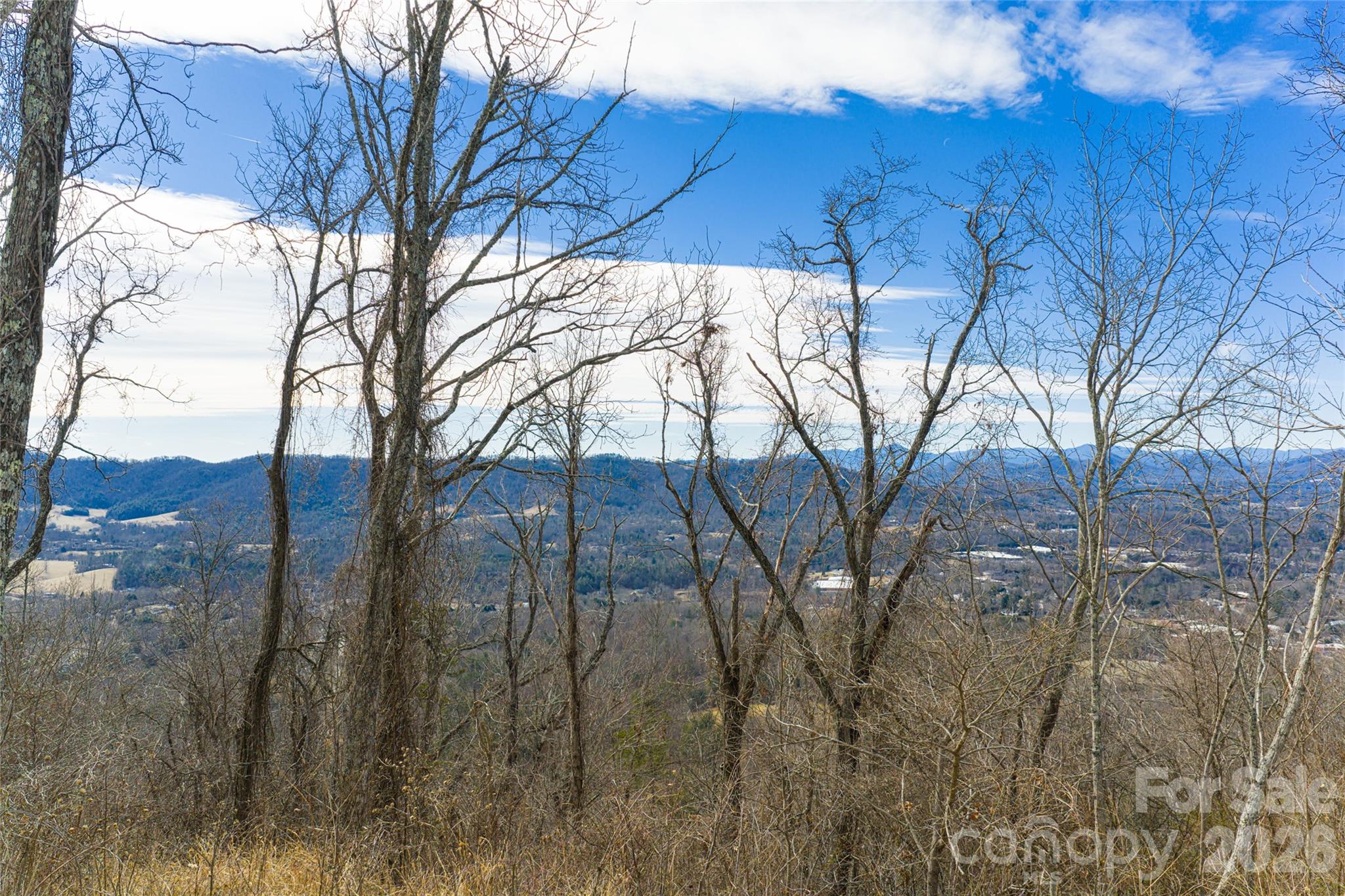 5 Longstreet Court Weaverville NC 28787