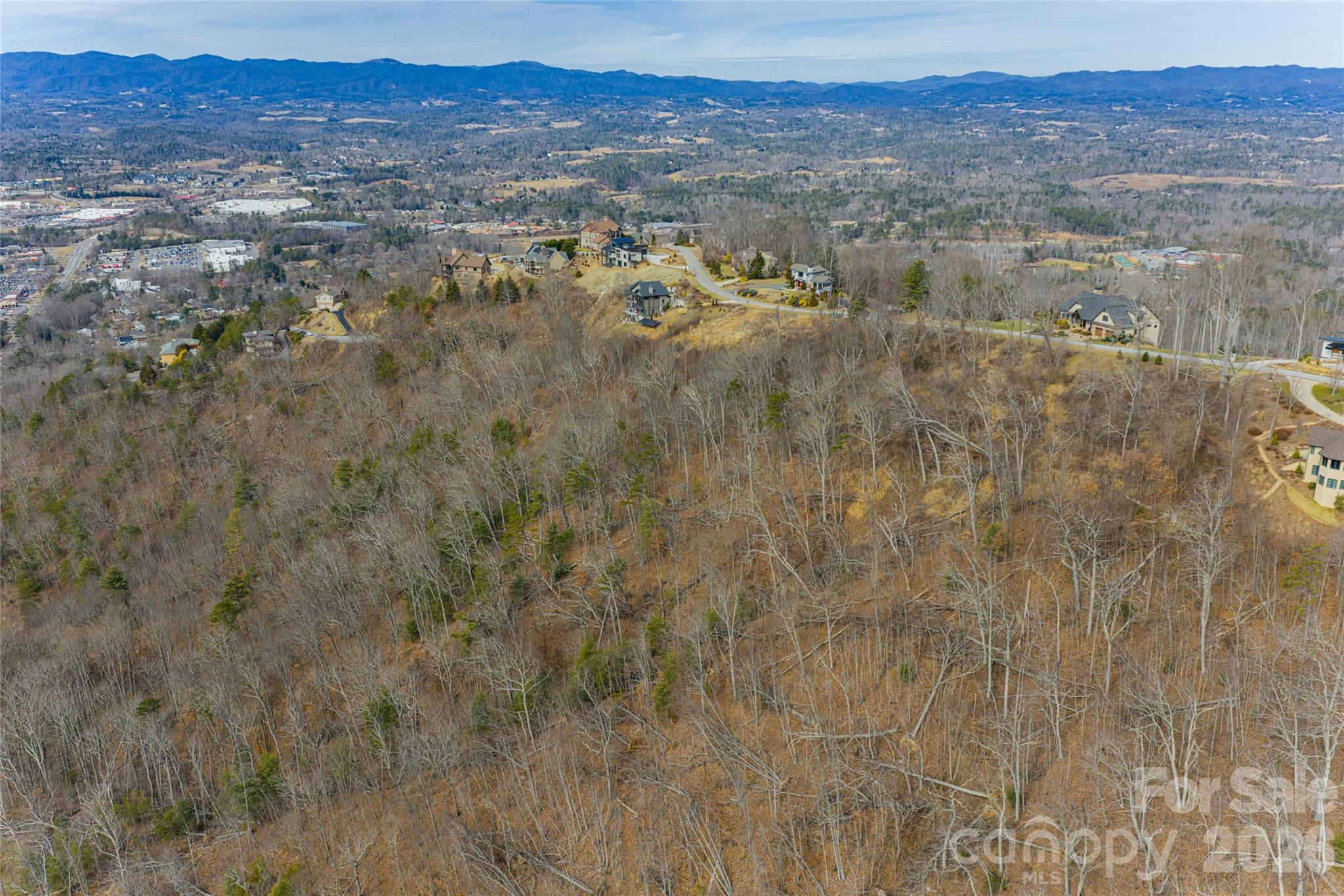 5 Longstreet Court Weaverville NC 28787