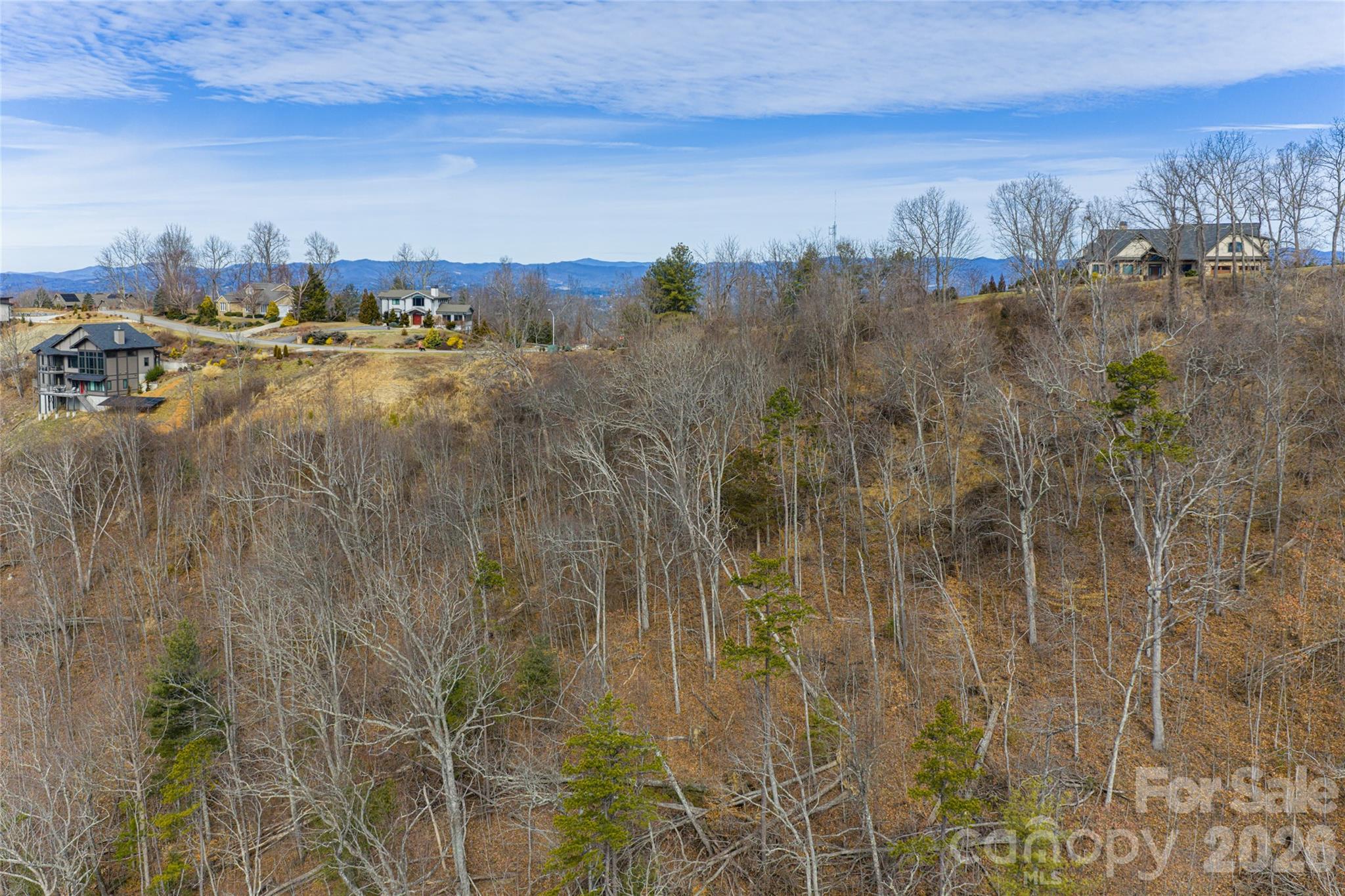 5 Longstreet Court Weaverville NC 28787