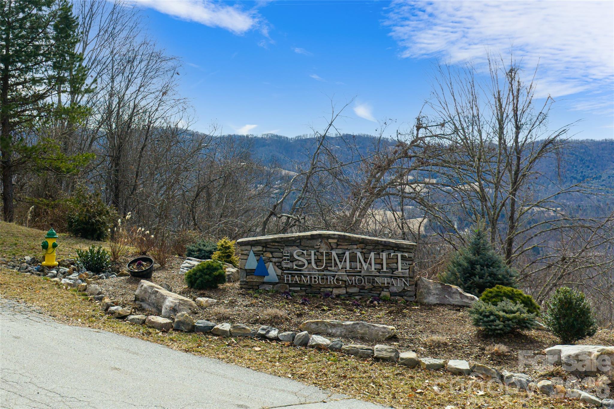 5 Longstreet Court Weaverville NC 28787