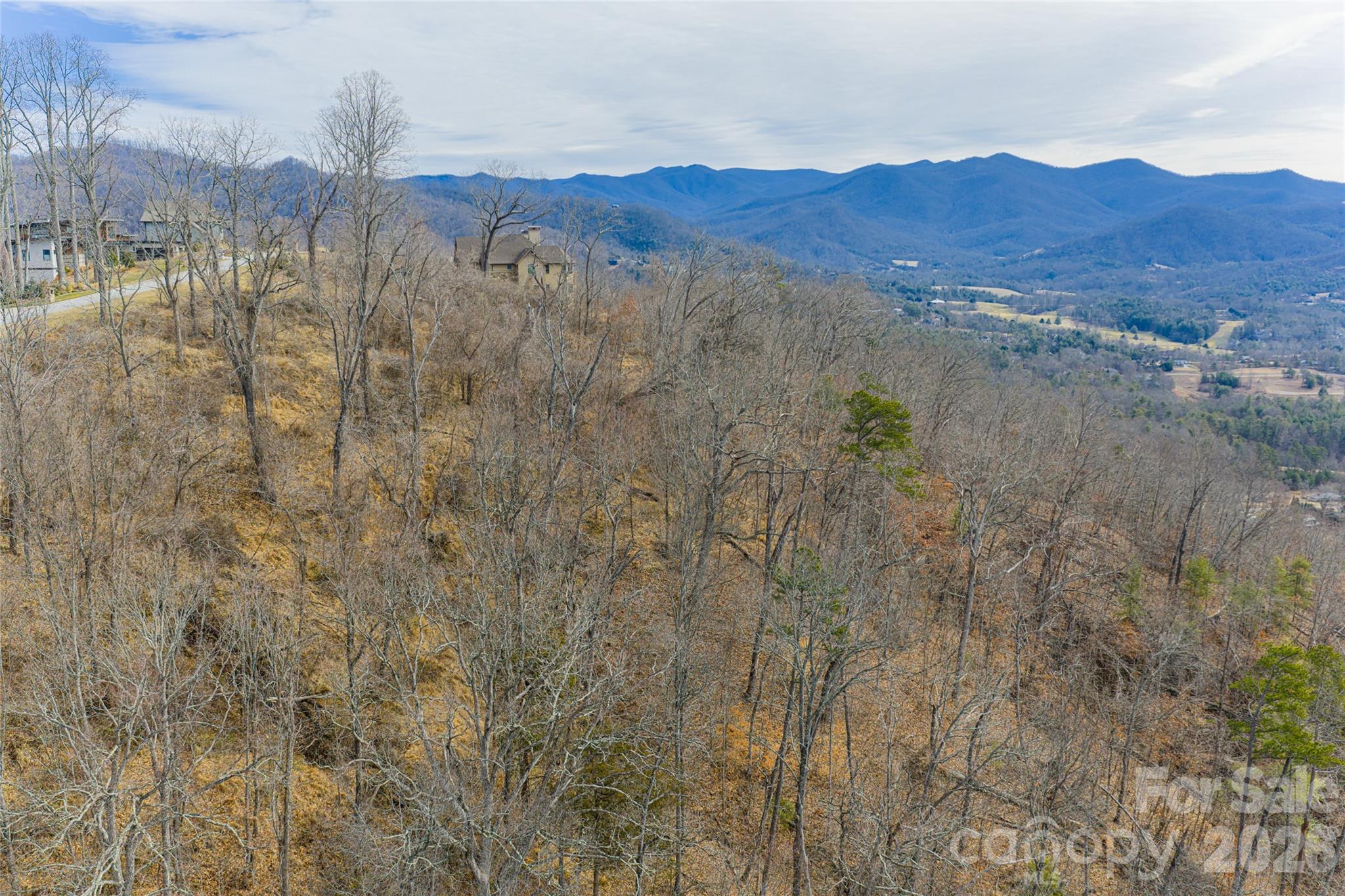 5 Longstreet Court Weaverville NC 28787