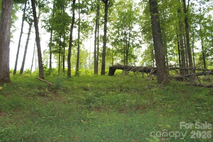 374 E Settings Boulevard NW Valdese NC 28690