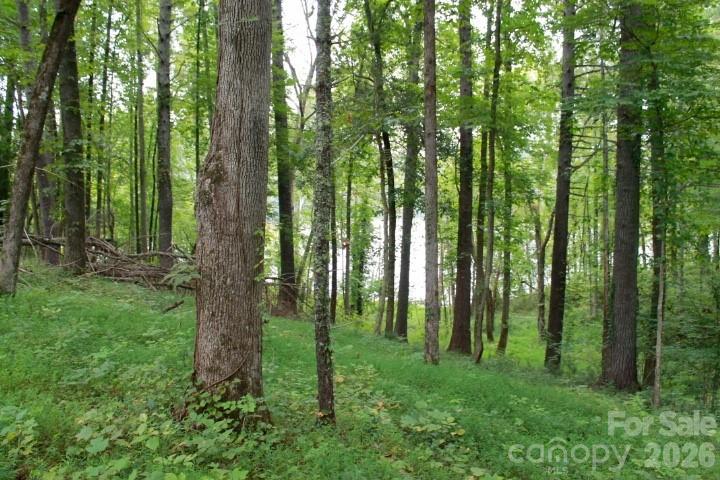 374 E Settings Boulevard NW Valdese NC 28690