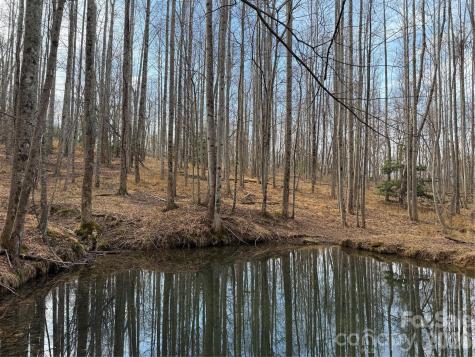 Tbd W Meadows Road Moravian Falls NC 28654