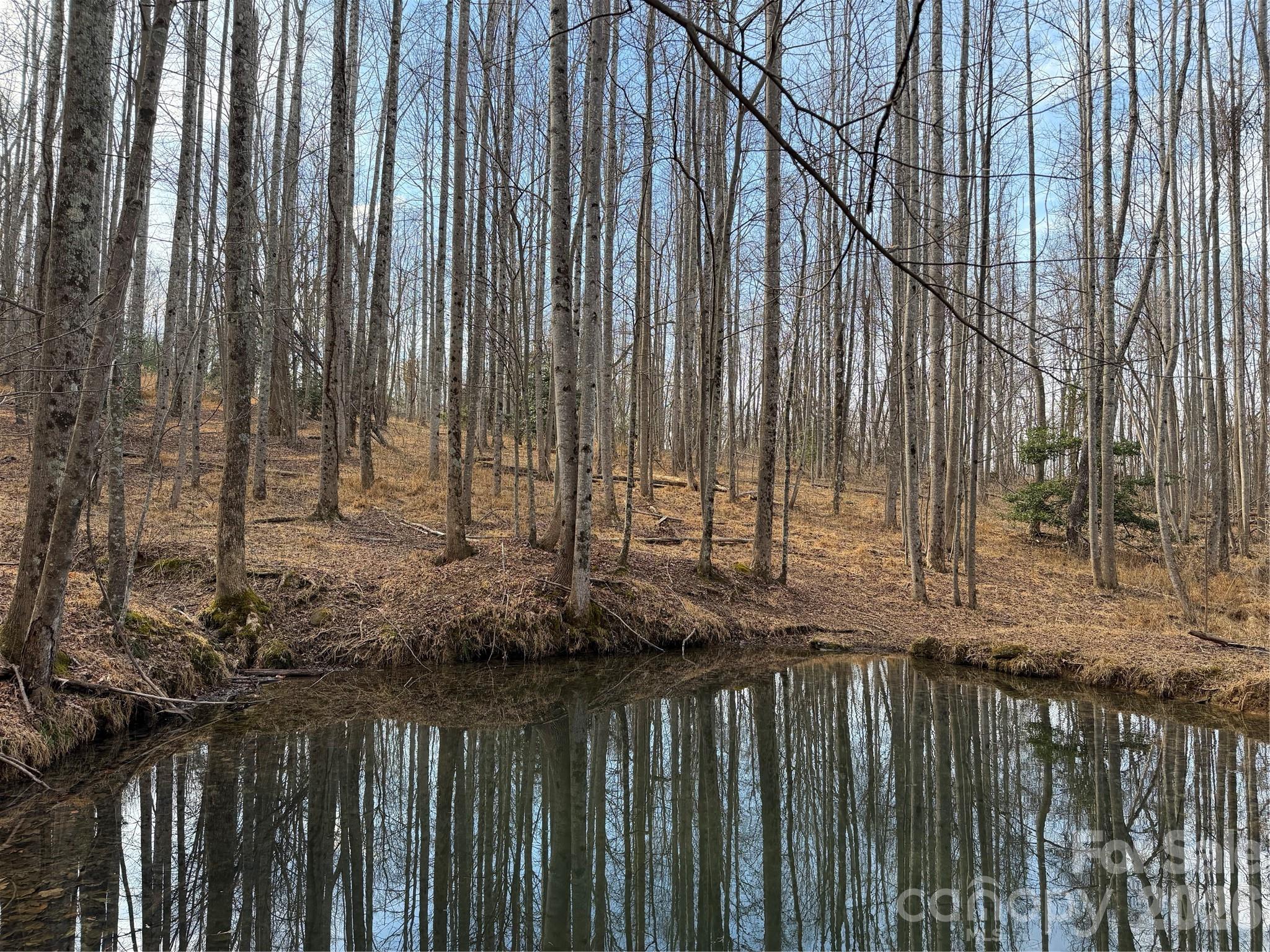 Tbd W Meadows Road Moravian Falls NC 28654