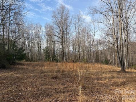 Tbd W Meadows Road Moravian Falls NC 28654