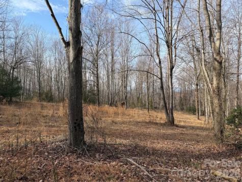 Tbd W Meadows Road Moravian Falls NC 28654