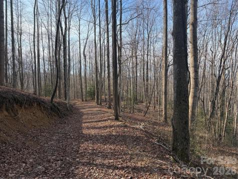 Tbd W Meadows Road Moravian Falls NC 28654