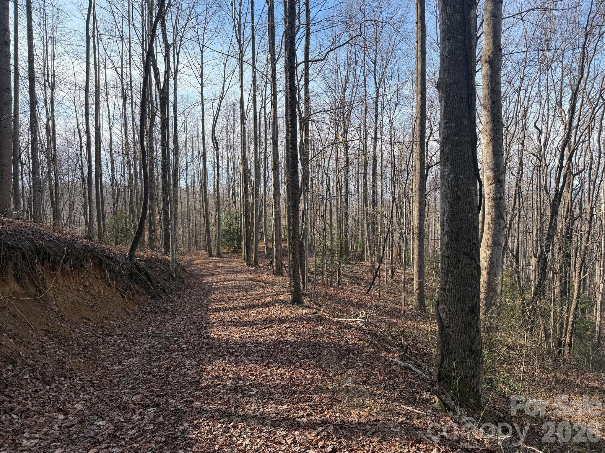Tbd W Meadows Road Moravian Falls NC 28654