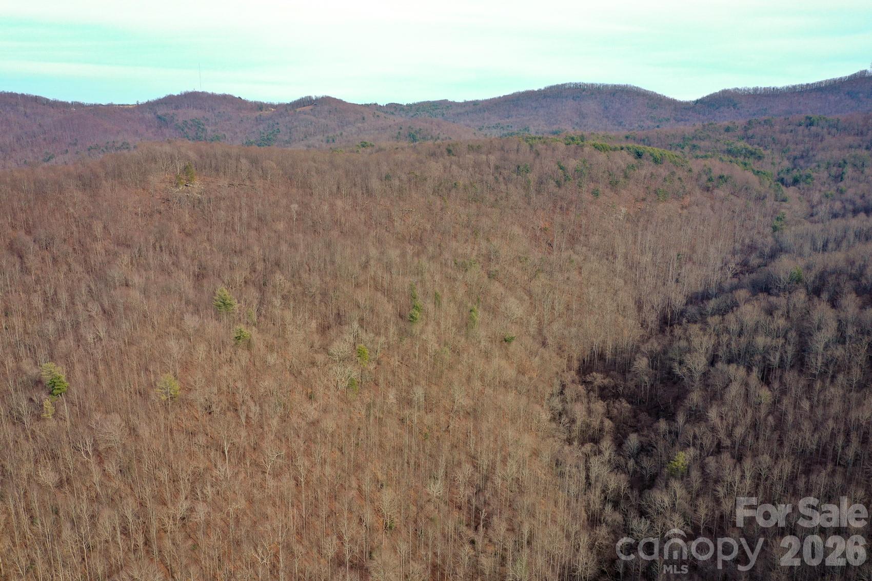 Tbd W Meadows Road Moravian Falls NC 28654