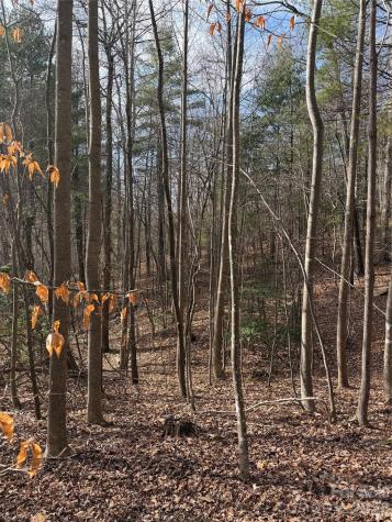 Tbd W Meadows Road Moravian Falls NC 28654