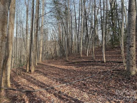 Tbd W Meadows Road Moravian Falls NC 28654