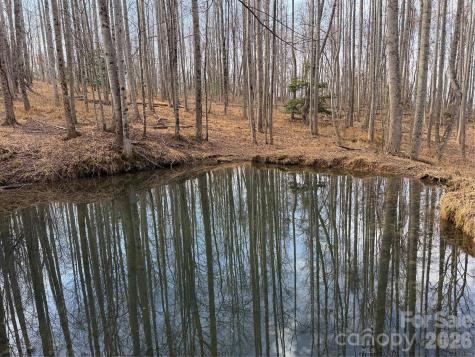 Tbd W Meadows Road Moravian Falls NC 28654