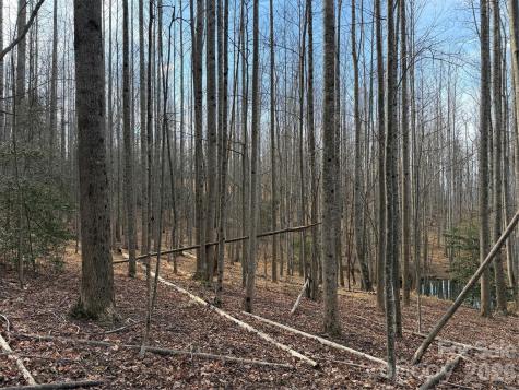 Tbd W Meadows Road Moravian Falls NC 28654
