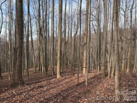Tbd W Meadows Road Moravian Falls NC 28654