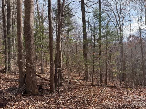 Tbd W Meadows Road Moravian Falls NC 28654