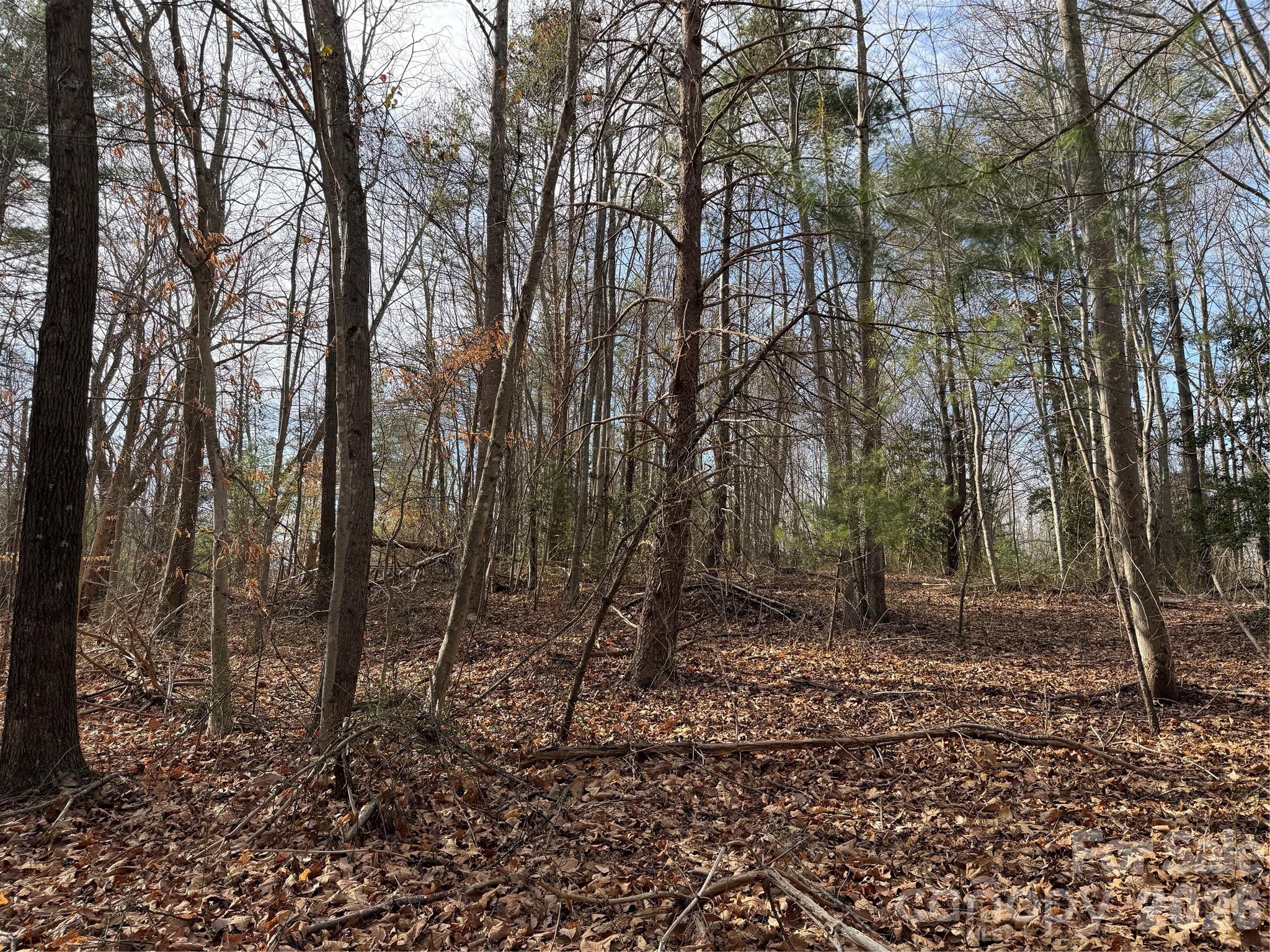 Tbd W Meadows Road Moravian Falls NC 28654
