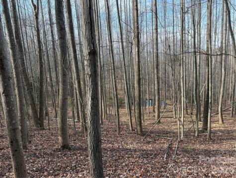 Tbd W Meadows Road Moravian Falls NC 28654