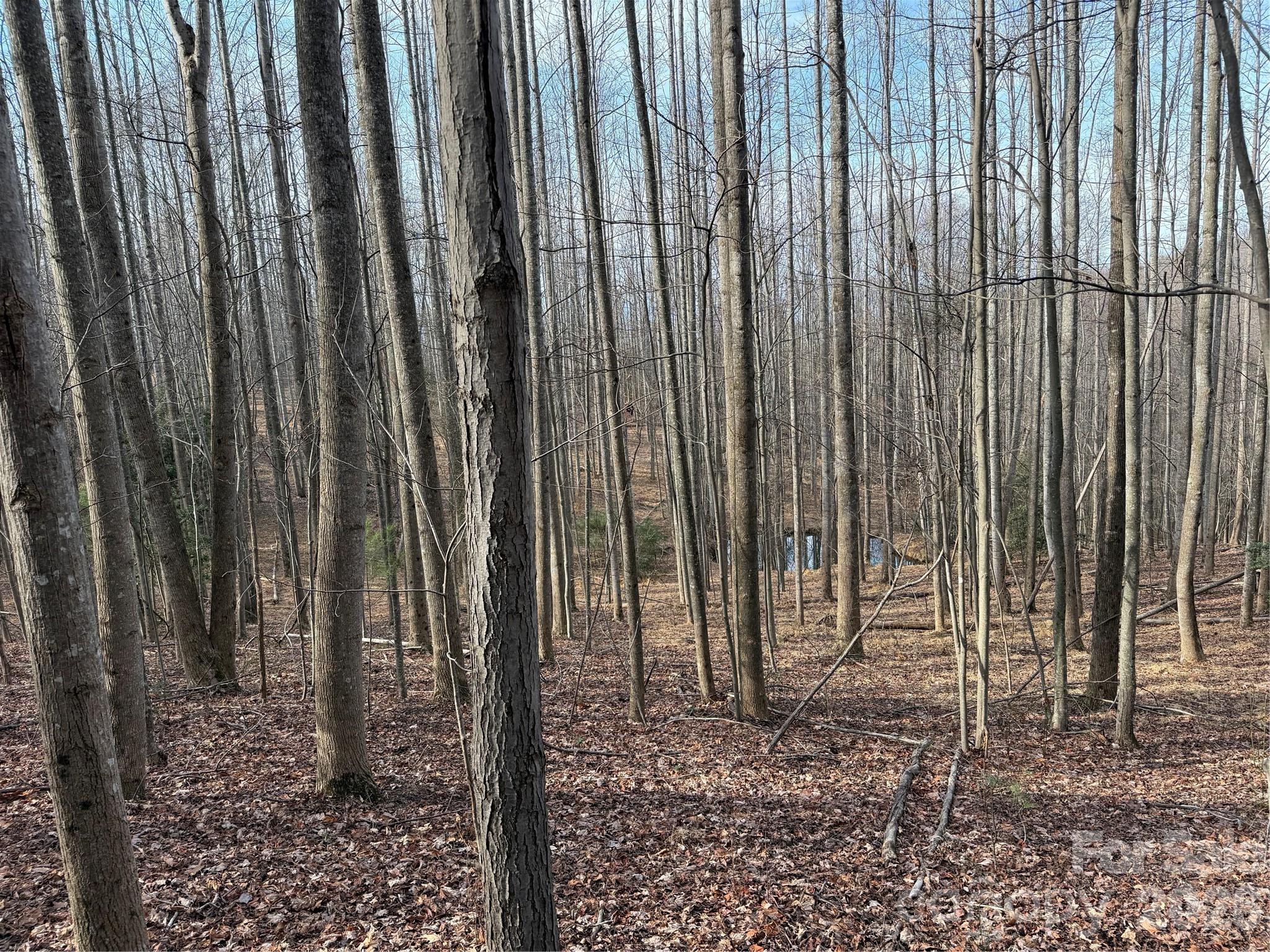 Tbd W Meadows Road Moravian Falls NC 28654