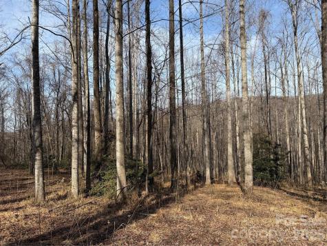 Tbd W Meadows Road Moravian Falls NC 28654