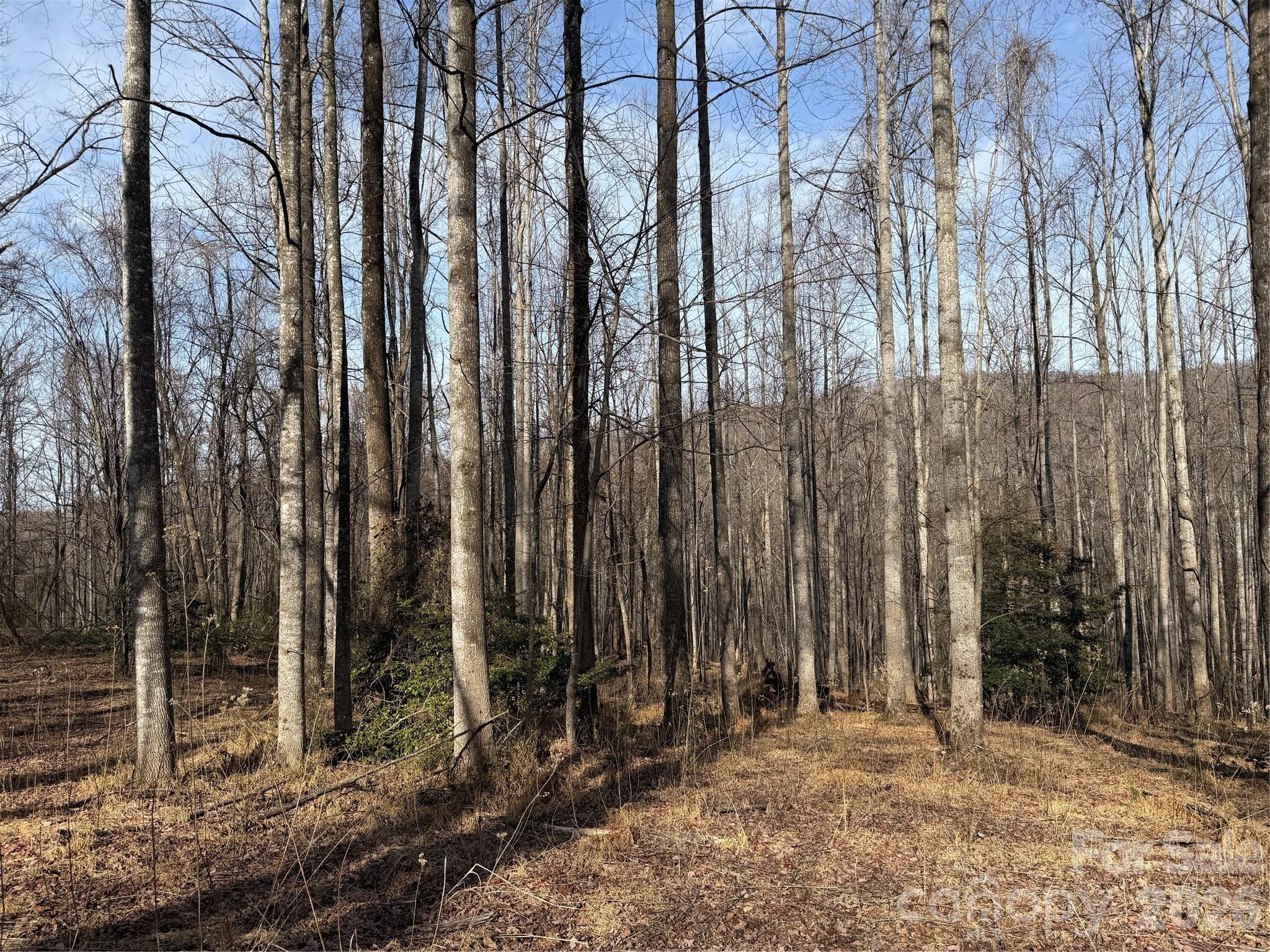 Tbd W Meadows Road Moravian Falls NC 28654