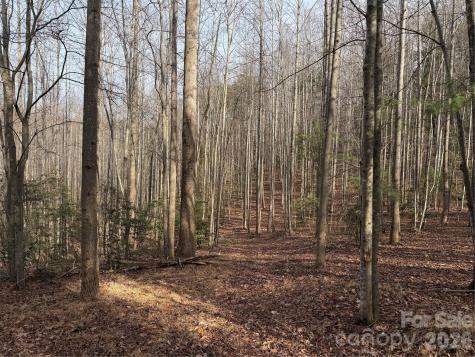 Tbd W Meadows Road Moravian Falls NC 28654