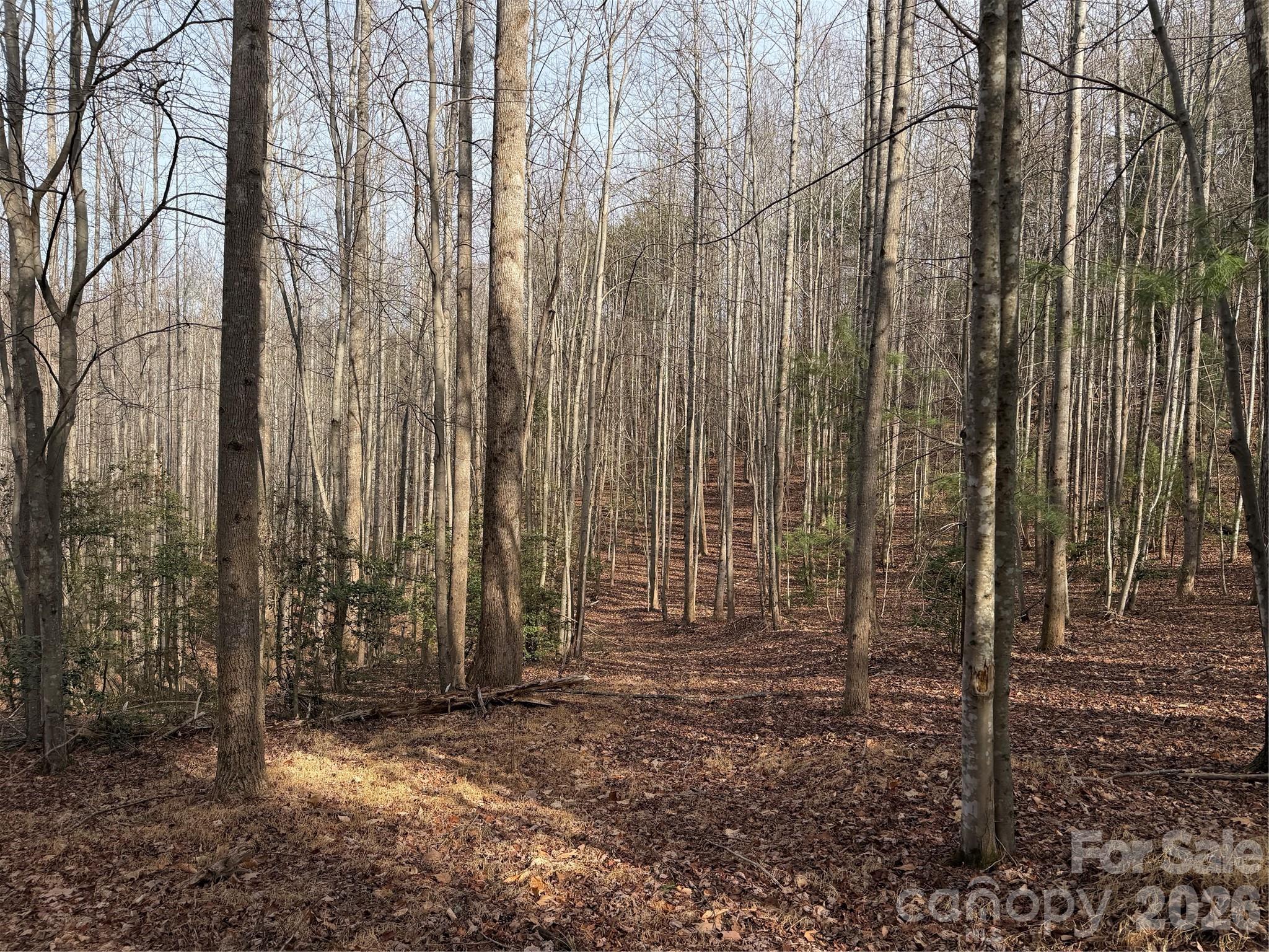 Tbd W Meadows Road Moravian Falls NC 28654