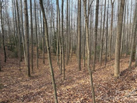 Tbd W Meadows Road Moravian Falls NC 28654