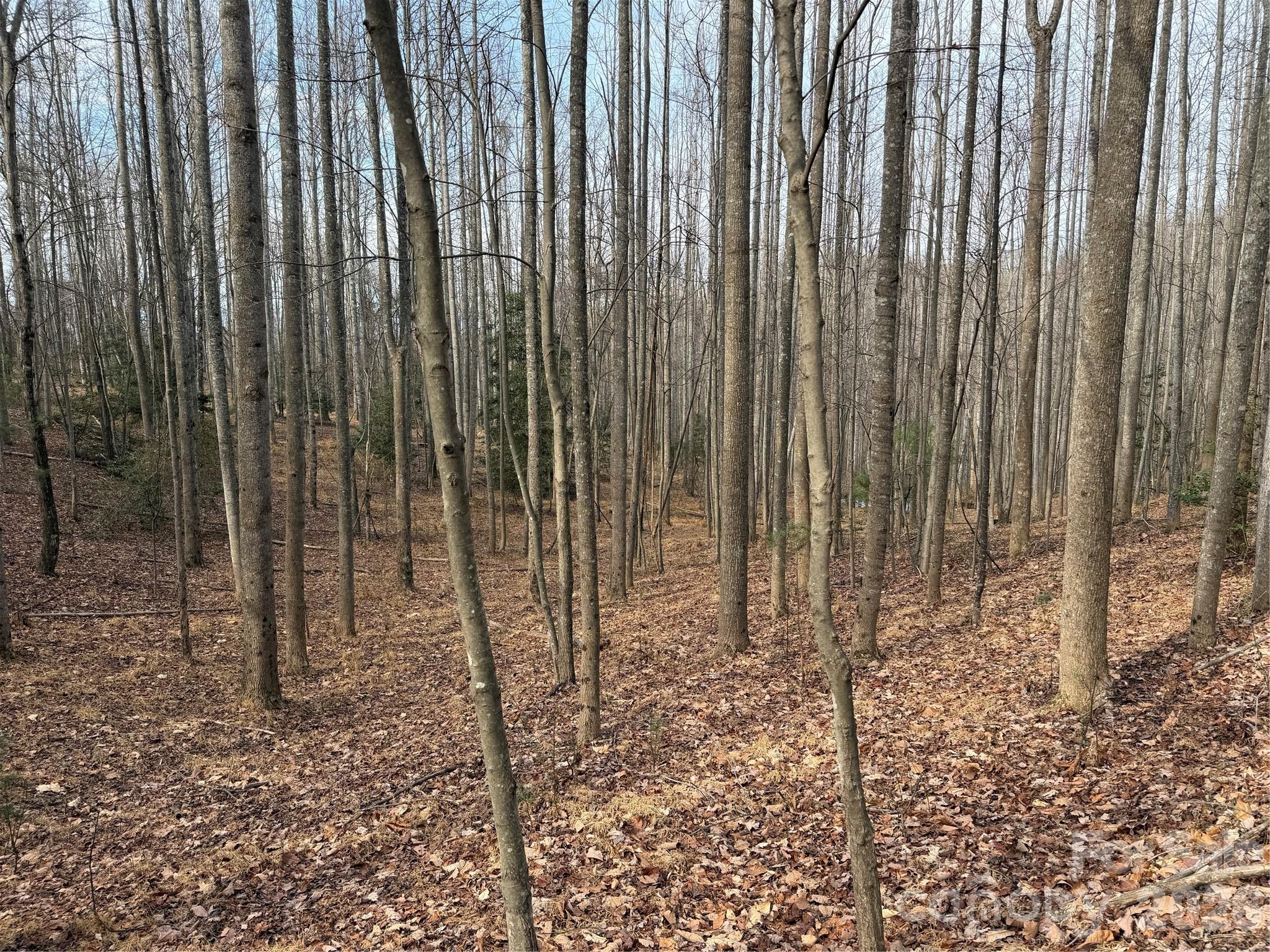 Tbd W Meadows Road Moravian Falls NC 28654