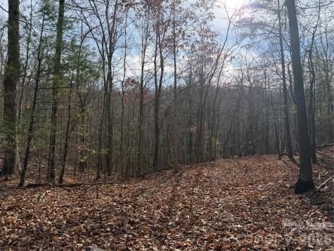 Tbd W Meadows Road Moravian Falls NC 28654