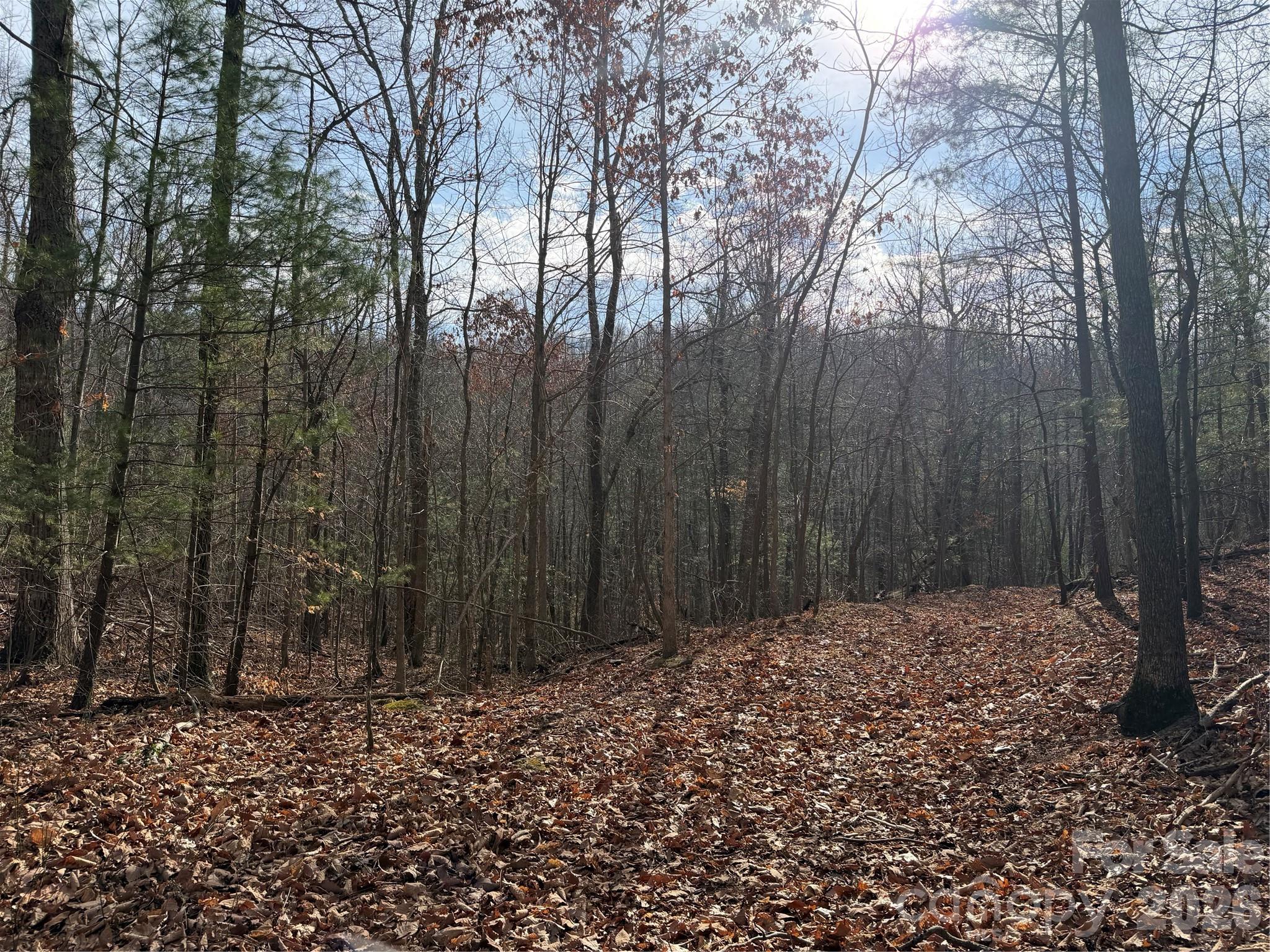 Tbd W Meadows Road Moravian Falls NC 28654